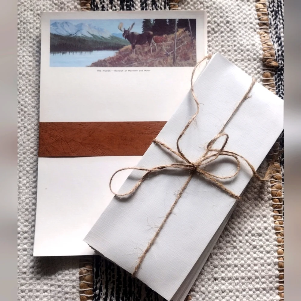 3 /$25 Rustic White Stationery Set with Wild Animal Designs
